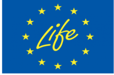 zdjęcie do
													 artykułu Zasady działania umowy z ceną dynamiczną