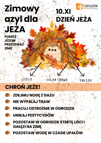 zdjęcie do
													 artykułu Zimowy azyl dla JEŻA