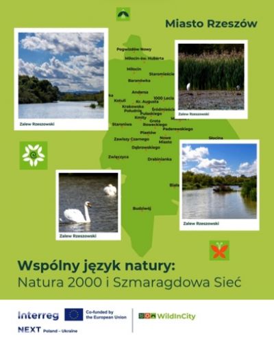 zdjęcie do artykułu Wspólny język natury – poznaj go razem z nami!