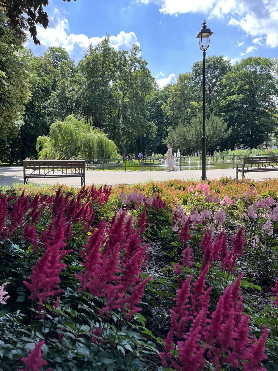 Fontanna na stawie w Miejskim Ogrodzie Solidarności