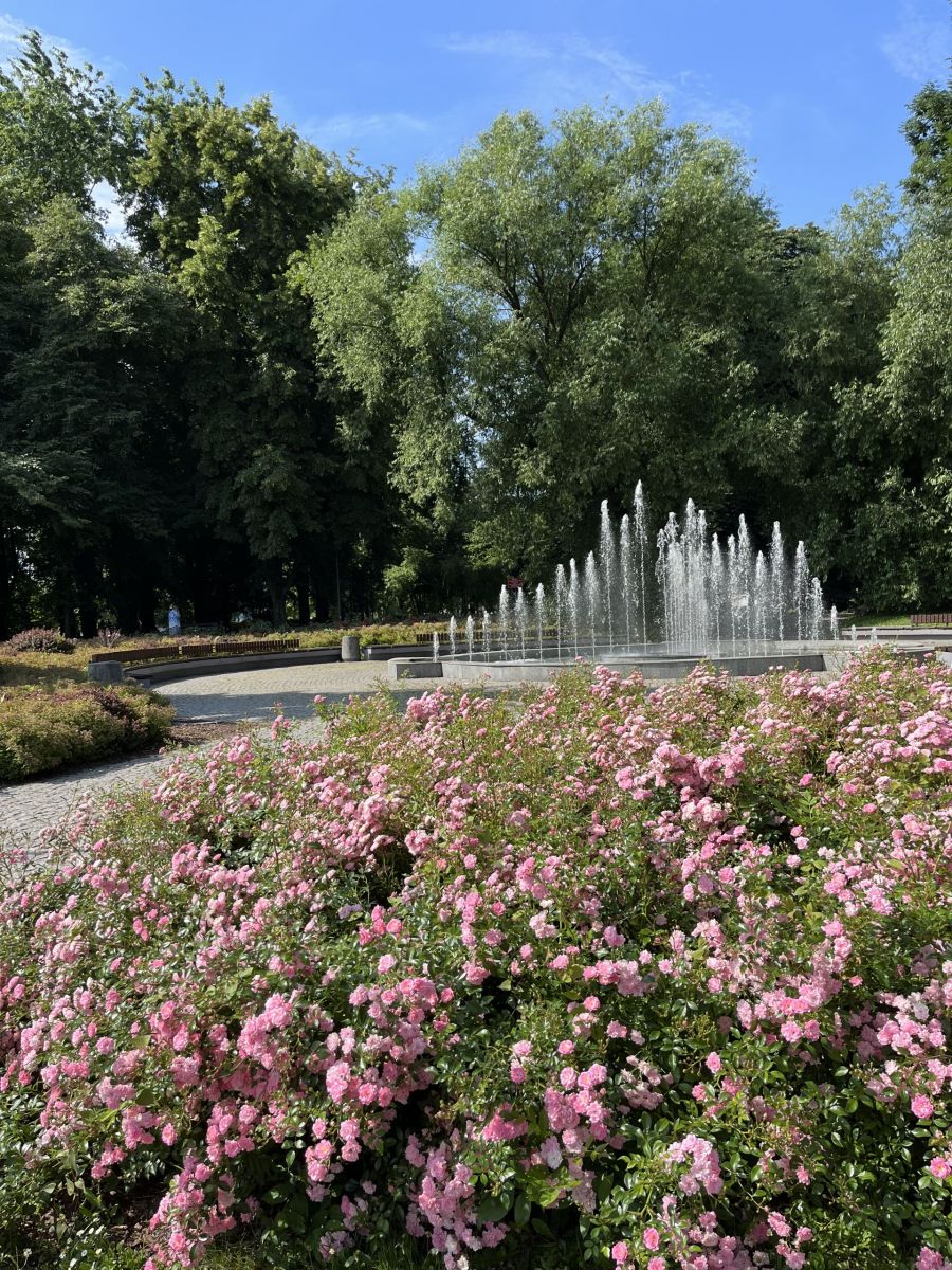 Fontanna kaskadowa w Parku Jedności Polonii z Macierzą    