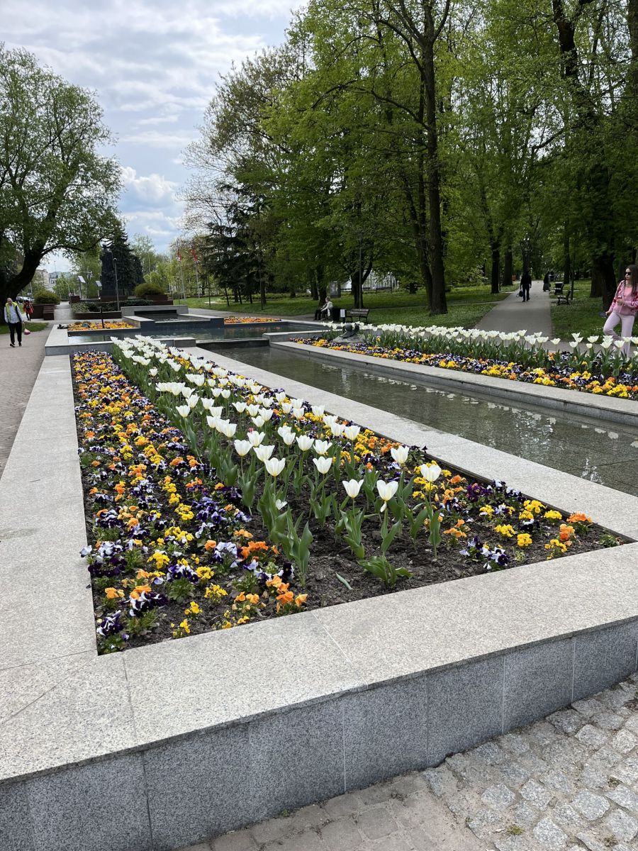Fontanna w Parku Jedności Polonii z Macierzą