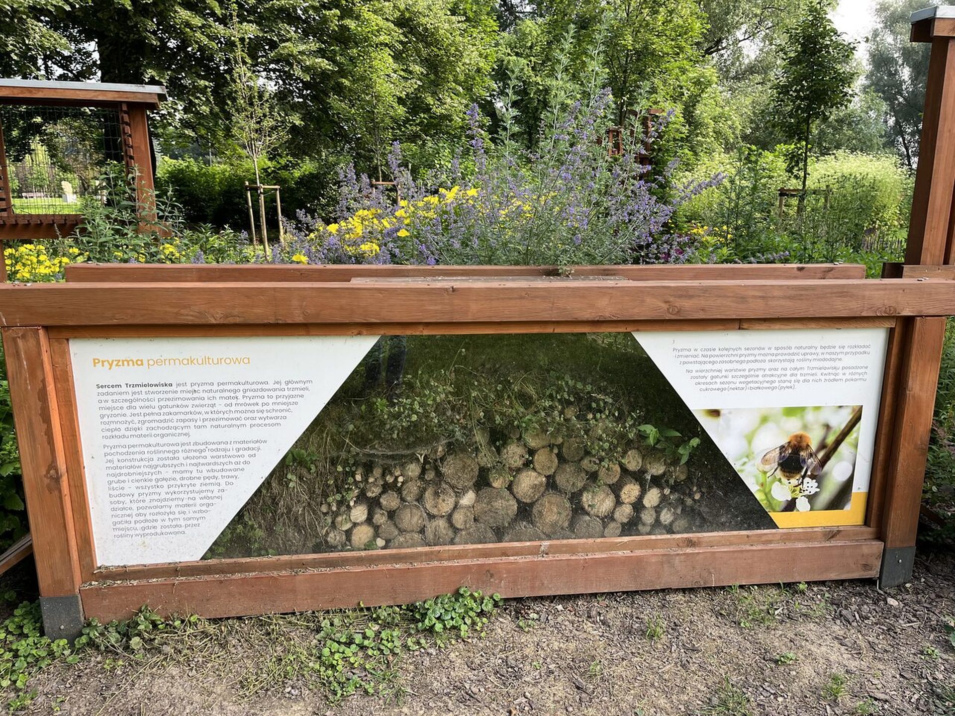 Trzmielowisko na Bulwarach