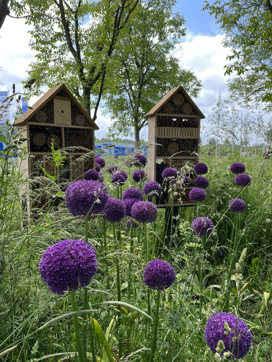 Domki dla owad&oacute;w przy ul. Wołyńskiej