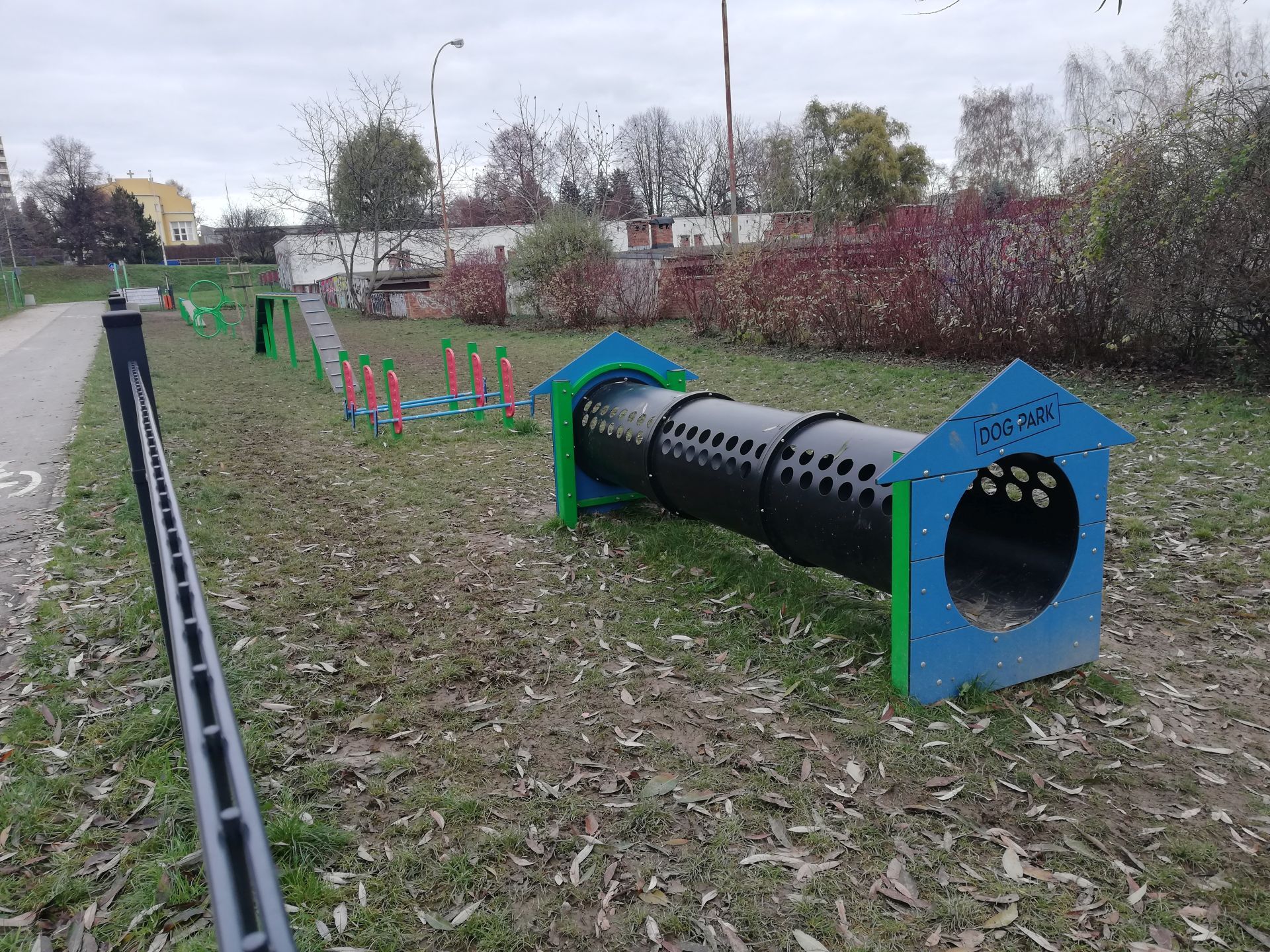 Tor przeszk&oacute;d na psim parku przy ul. Lweakowskiego