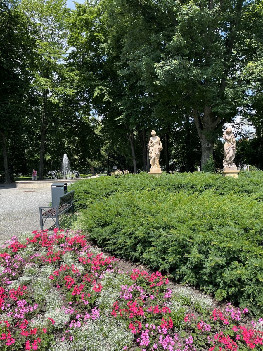 Ogr&oacute;d Miejski im. Solidarności