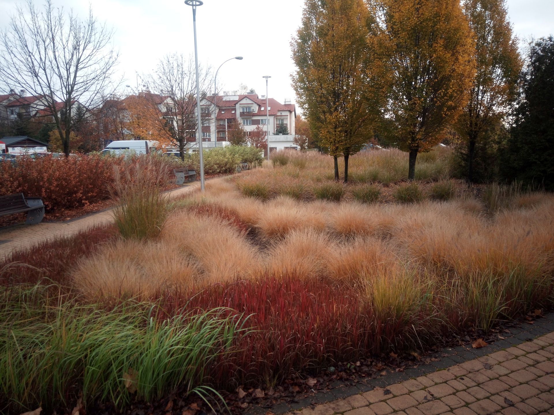 Park Błogosławionej Karoliny K&oacute;zki