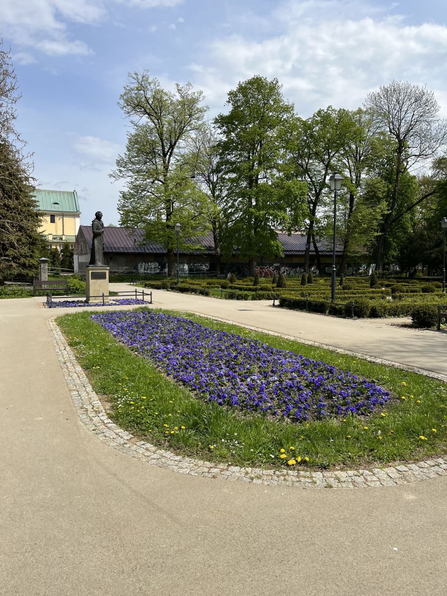 Ogr&oacute;d Miejski im. Solidarności