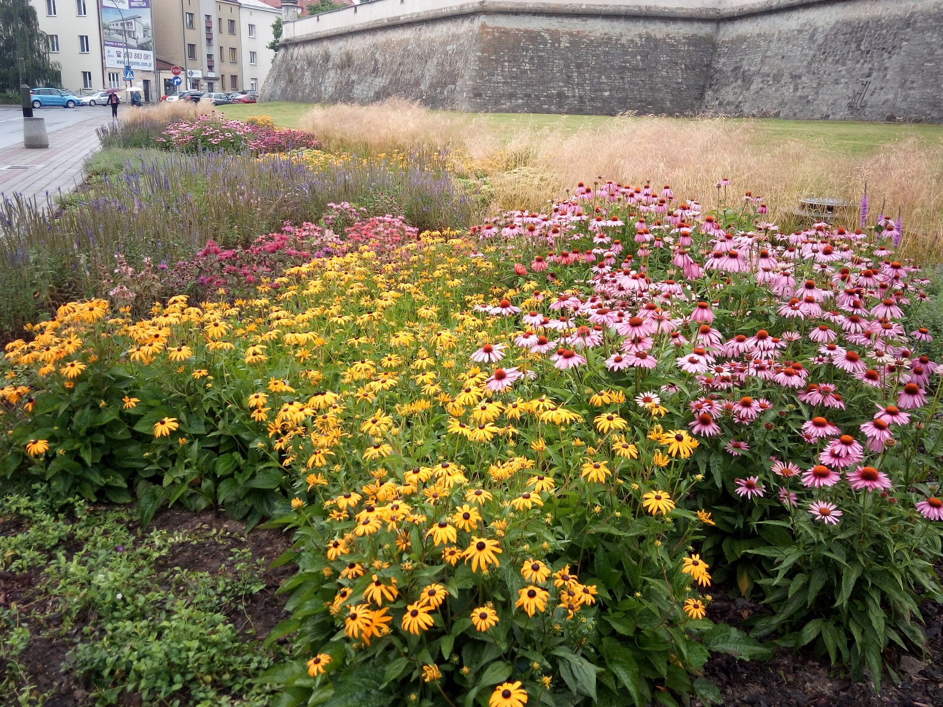 Skwer przy Zamku od strony ul. Szopena