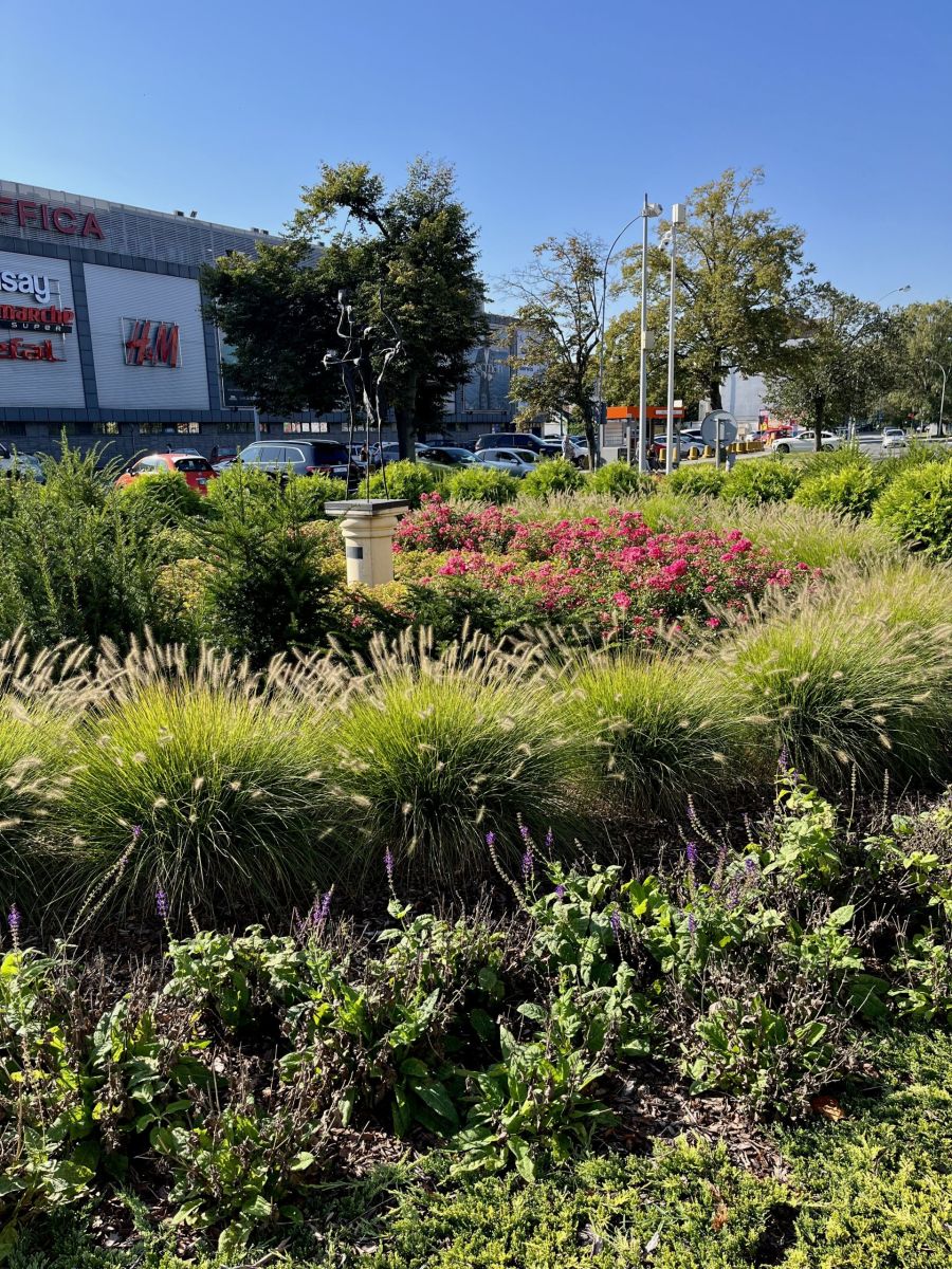 Zieleniec przy Al. Cieplińskiego