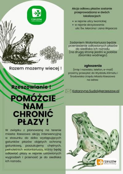 zdjęcie do
													 artykułu Rzeszowianie, pomóżcie nam chronić płazy! Szukamy WOLONTARIUSZY