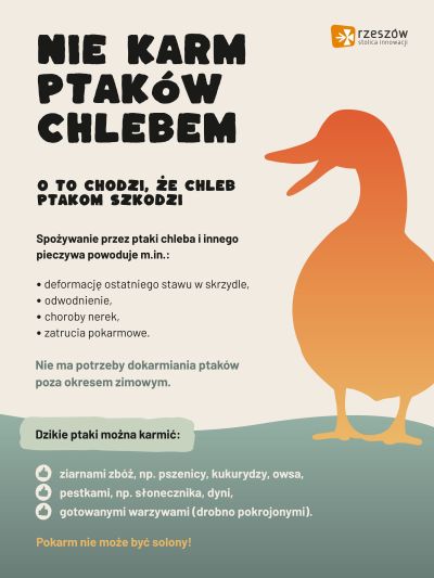 zdjęcie do
													 artykułu Nie karm ptaków chlebem